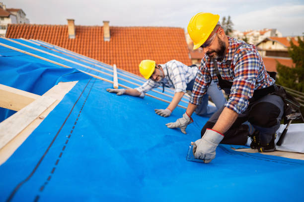 Best Steel Roofing  in St Regis Park, KY